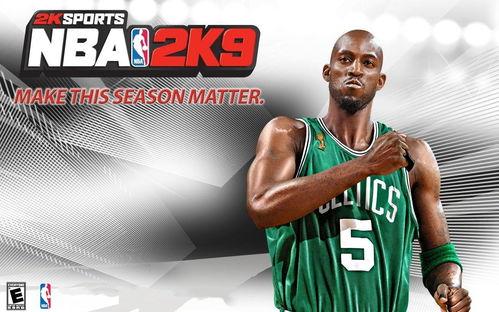 NBA职业篮球框,揭秘篮球场上的“空中堡垒”